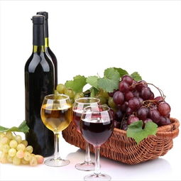 千岸优选红酒加盟 开启法国葡萄酒连锁事业的投资指南