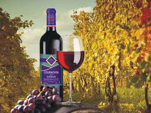 法国波尔多卡诺莎葡萄酒 融入生活的法国葡萄酒艺术